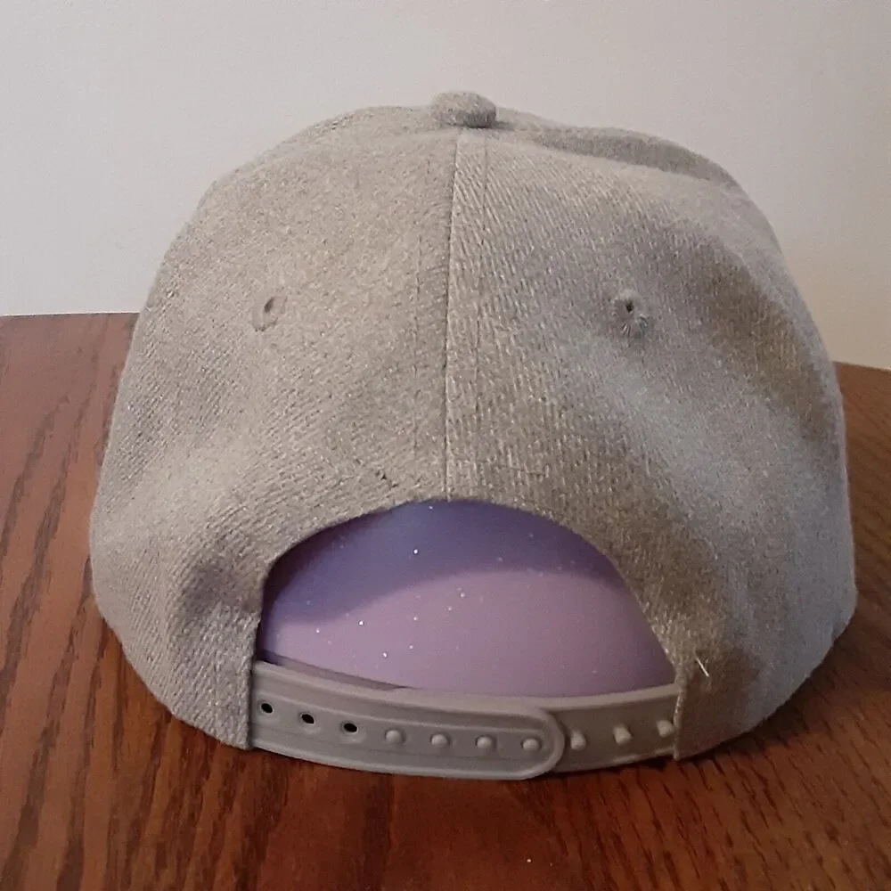 Scoob! Scooby Doo Gray Snapback Hat Unisex Kids Cartoon Movie EUC
